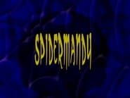 Spidermandy