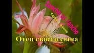 Серія 6