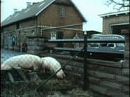 Серія 13