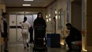 Episode 23