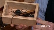 The Eleven Grooved Box
