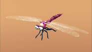 Don's Dragonfly