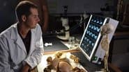 Cavemen Cold Case
