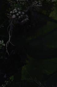 Lost Gardens