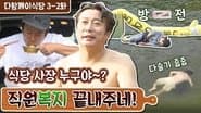 Episode 7
