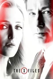 Season 11