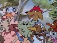 Blinky Bill and "Club Pet"