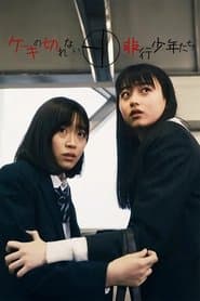 Delinquent Teenagers Who Can't Cut Cake