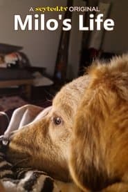 Milo's Life