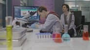 Серія 6