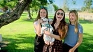 The LA Dogs
