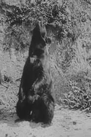 A Bear (uncredited)