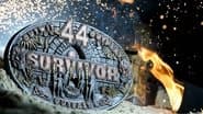 Серія 13