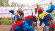 Серія 583