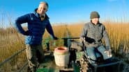 Somerset Willow Harvest