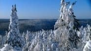 Серія 6