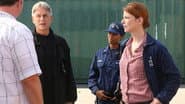 Серія 5