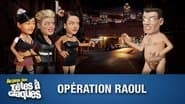 Operation Raoul