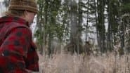 Серія 3