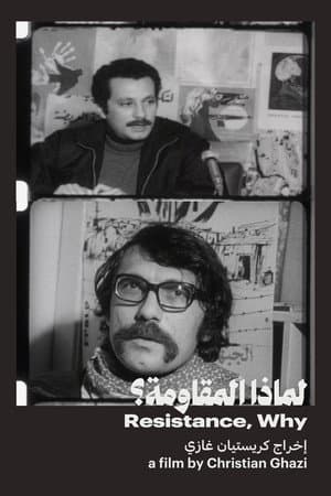 لماذا المقاومة