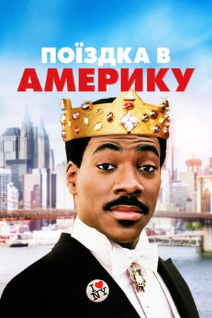 Поїздка в Америку