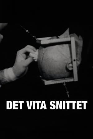 Det vita snittet