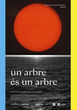 Un arbre és un arbre