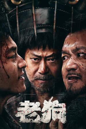 老狗