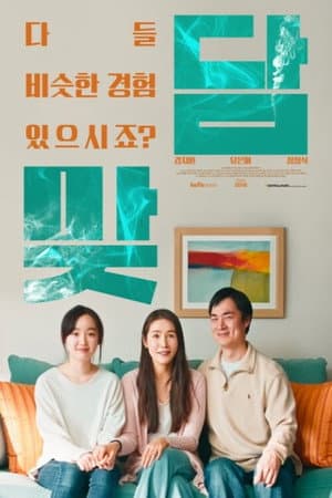 맞담