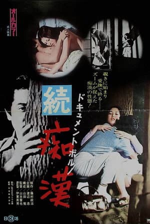 ドキュメントポルノ　続・痴漢