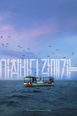 아침바다 갈매기는
