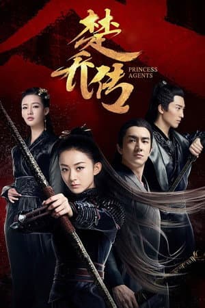 楚乔传 DVD版
