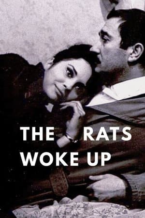 The Rats Woke Up