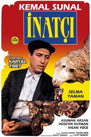 İnatçı