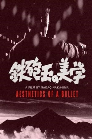Aesthetics of a Bullet