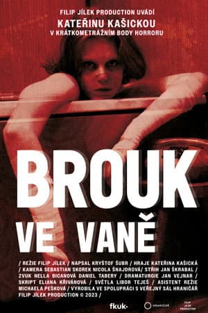Brouk ve vaně