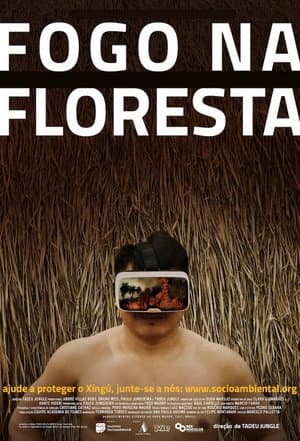 Fogo na Floresta