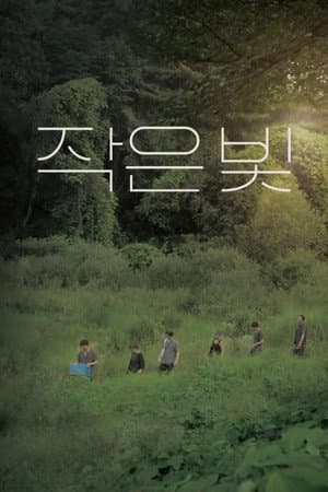 작은 빛