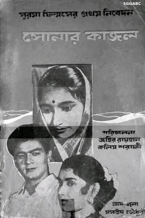 সোনার কাজল