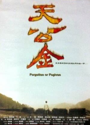 天公金