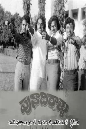 Punadhirallu