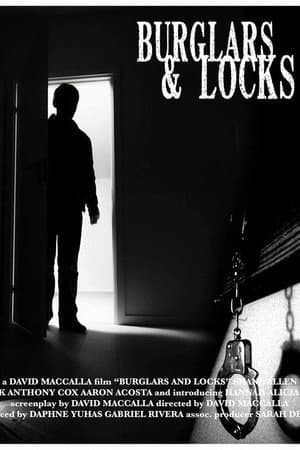 Burglars & Locks