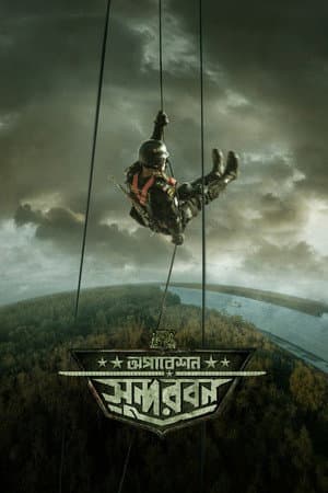 অপারেশন সুন্দরবন