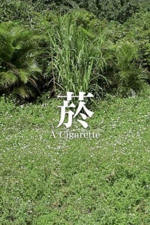 菸