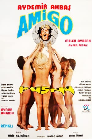 Amigo Hüsnü