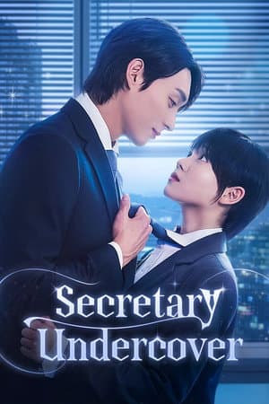 Secretary Undercover