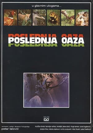 Poslednja oaza