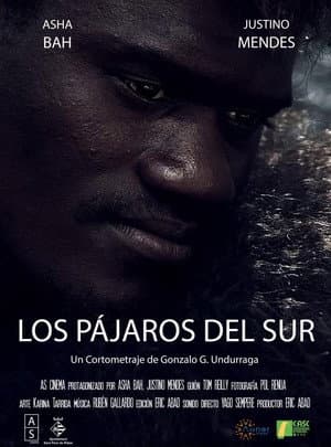 Los Pájaros del Sur