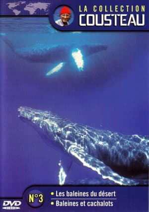 La collection Cousteau N°3 | Les baleines du désert | Baleines et cachalots