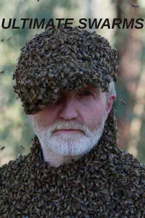 Ultimate Swarms